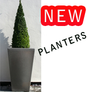 New Planters