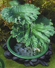 Water Feature - The Two Leaf Gunnera 