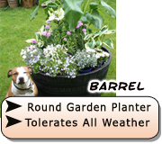 Barrel Planter 