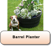 Barrel Planter 