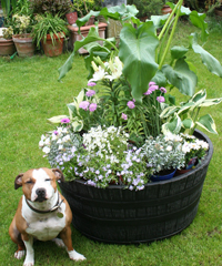 The Barrel Planter In Black - Large