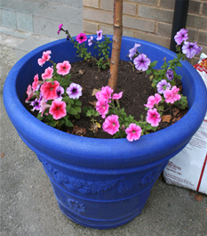 Garden Planter In Blue Large