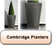 The Cambridge Planters