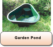 Garden Pond 002