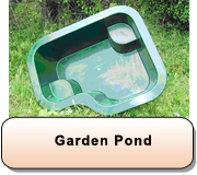 Garden Pond 003