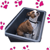 Jyms Dog Baths
