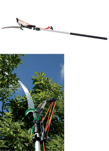 Expert Tree Pruner with Telescopic Handle