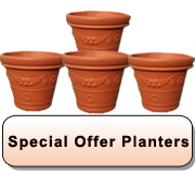 Special Offer Planters 