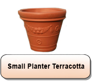 Small Terracotta Planter