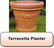 Terracotta Planter