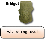 Wizard Log Head Bridget