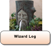 Wizard Log 
