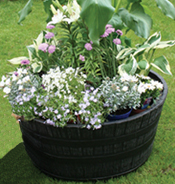 Barrel Planter