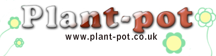 Plant Pot